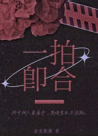 一拍即合苏朝小说