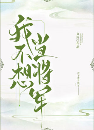 我不想当将军小说
