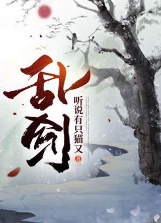 乱剑小说