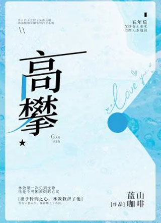 高攀小说