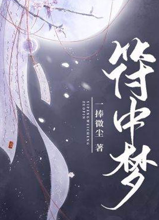 符中梦小说