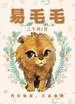 易毛毛小说