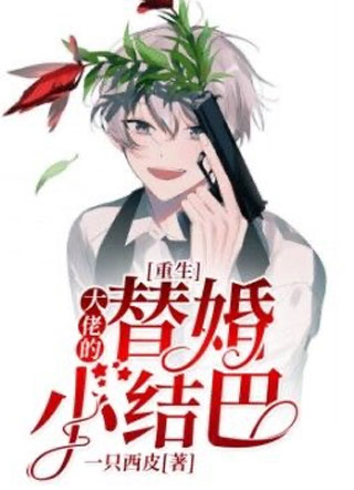 【重生】大佬的替婚小结巴顾南风小说