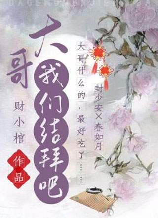 大哥我们结拜吧小说