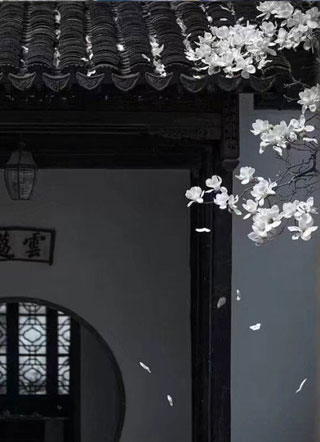 重生之帝王心上宠 小说