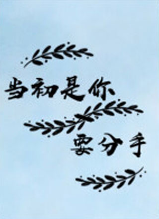 当初是你要分手！小说