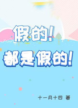 假的！都是假的小说