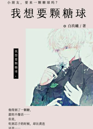 我想要颗糖球小说