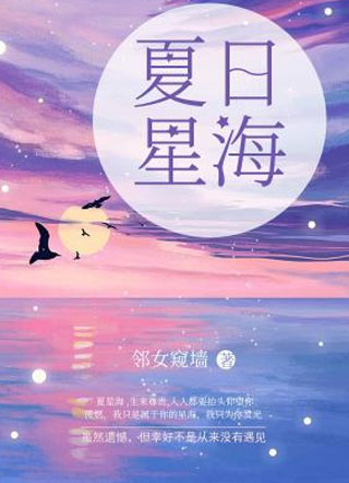 夏日星海小说