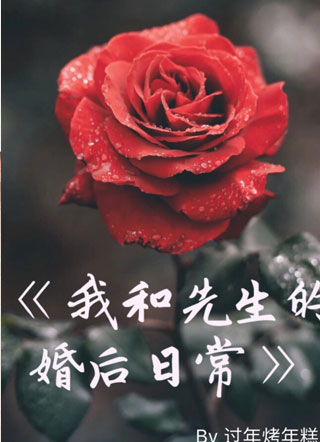 我和先生的婚后日常宋清小说
