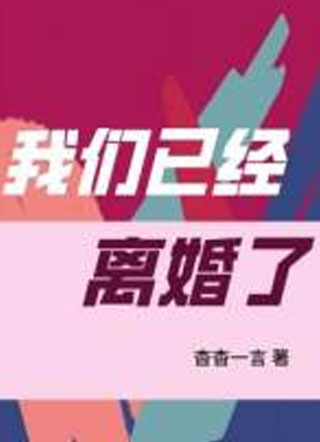 我们已经离婚了小说
