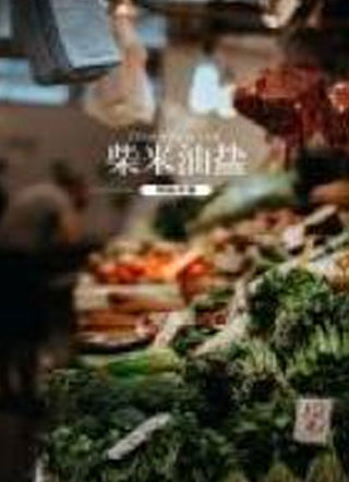 柴米油盐小说
