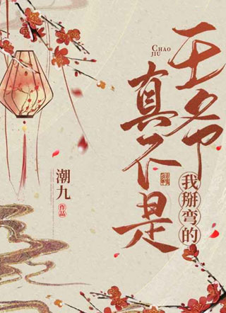 王爷真不是我掰弯的小说