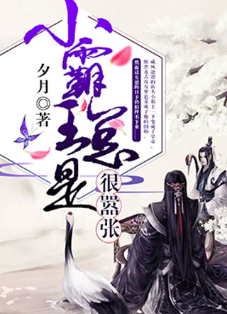 小霸王总是很嚣张小说