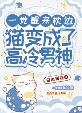 一觉醒来枕边猫变成了高冷男神沈宴清小说
