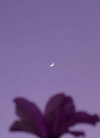 被渣男抛弃后小美人沦落街头毛利小五娘小说