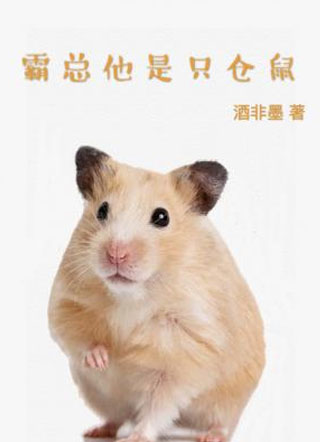 霸总他是只仓鼠舒一楠小说