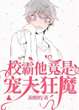 校霸他竟是宠夫狂魔by冻酸奶小说