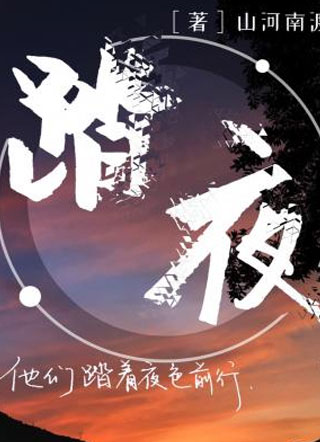 踏夜小说