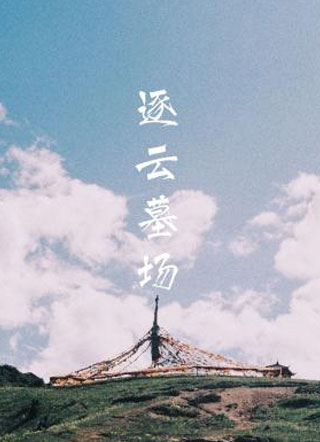 逐云墓场小说