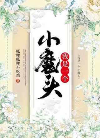 我是一个小魔头小说