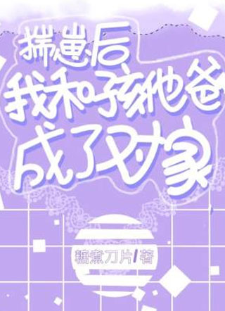 揣崽后我和孩他爸成了对家小说