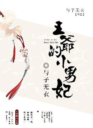 王爷的小男妃小说