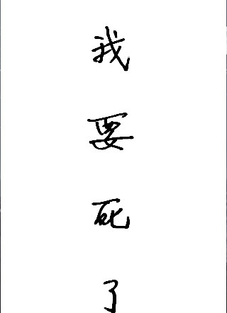 我要死了！小说
