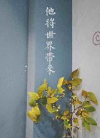 他将世界带来小说