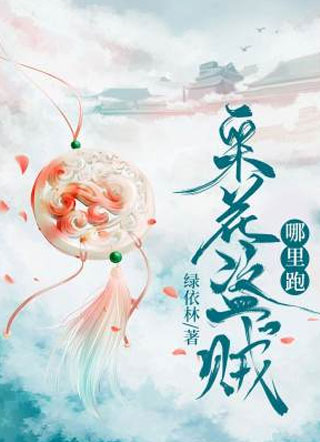 采花盗贼，哪里跑！小说