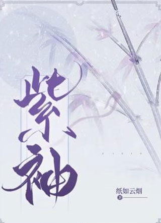 紫袖纸如云烟小说