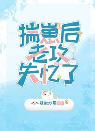揣崽后老攻失忆了辣椒炒蛋小说