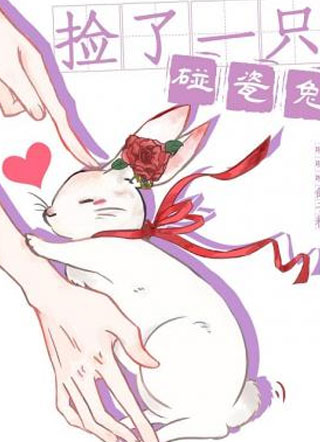 捡了一只碰瓷兔安星洲小说