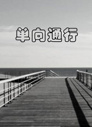 单向通行夏文南小说