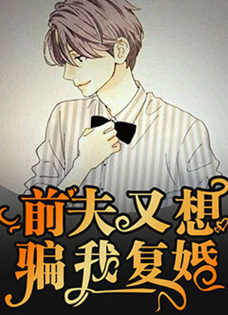 前夫又想要骗我复婚小说