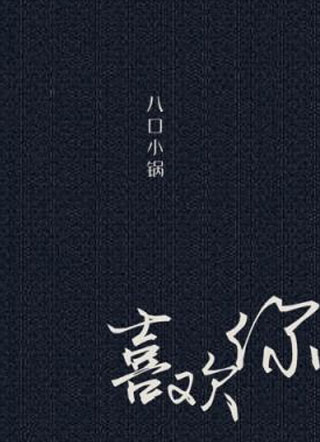 喜欢你八口小锅小说