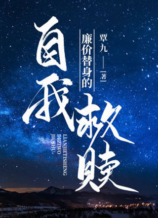 廉价替身的自我救赎王邈小说