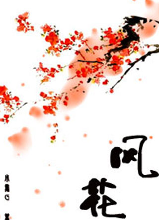 风花严风俞小说