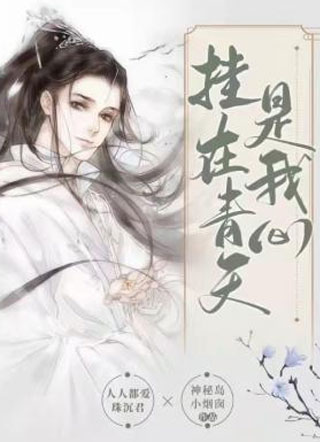 挂在青天是我心小说