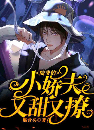 陆爷的小娇夫又甜又撩【娱乐圈】小说