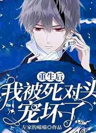 重生后我被死对头宠坏了！小说