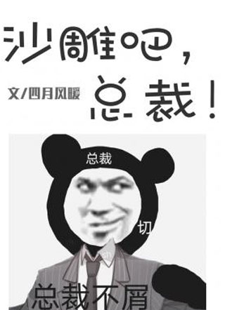 沙雕吧，总裁！小说