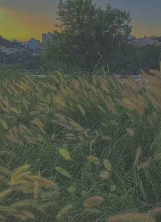 被神棍骗身骗心后小说