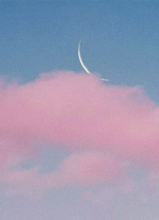 君相知景韶小说