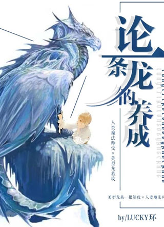 论一条龙的养成小说