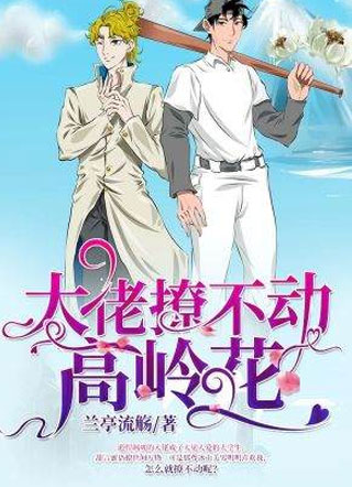 大佬撩不动高岭花小说