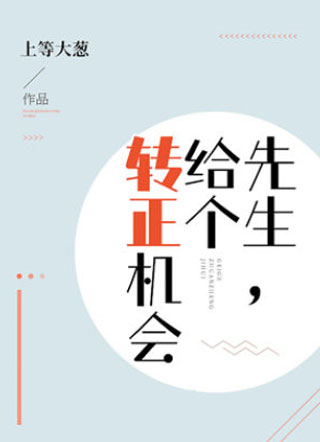 先生，给个转正机会！小说