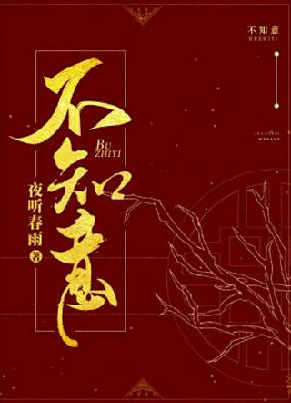 不知意小说