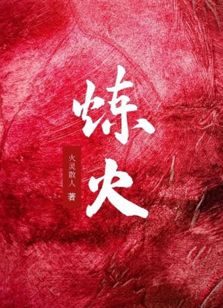 炼火小说