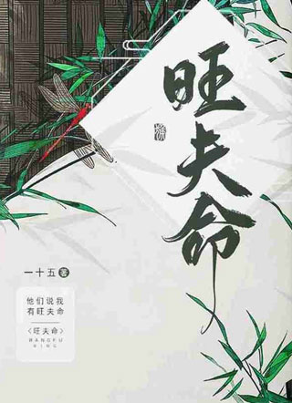 旺夫命小说